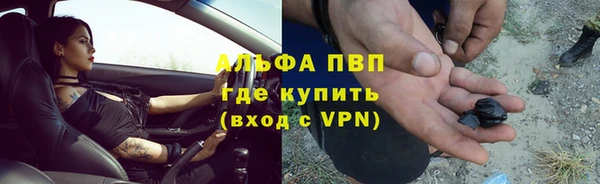 крисы Богданович