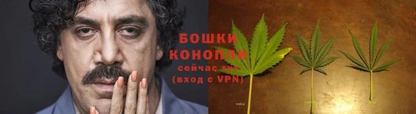гашик Богородицк