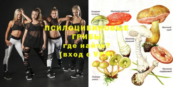 гашик Богородицк