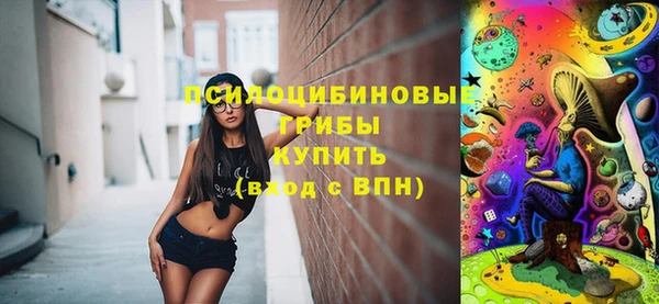 гашик Богородицк