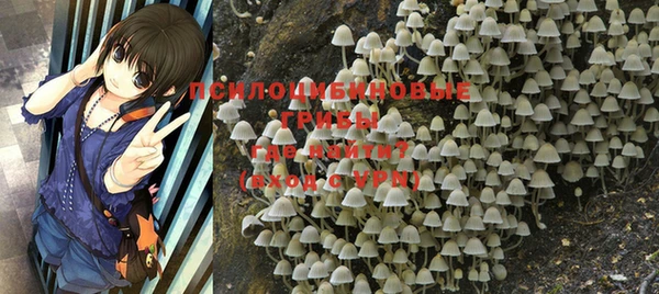 крисы Богданович